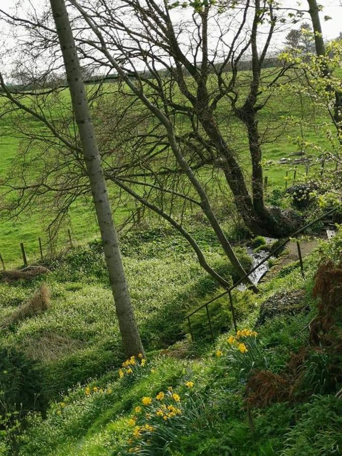 Relax In A 1 Bedroom Apartment Near A Country Pub アイマス エクステリア 写真