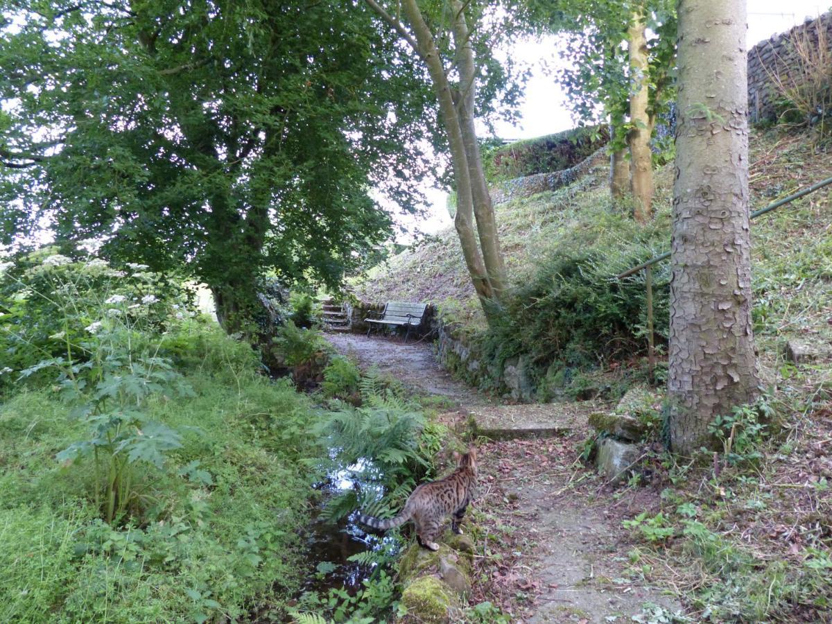Relax In A 1 Bedroom Apartment Near A Country Pub アイマス エクステリア 写真