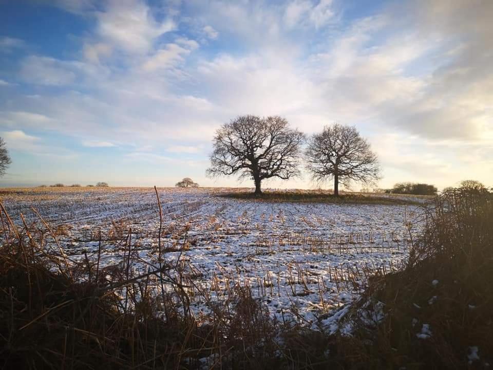Relax In A 1 Bedroom Apartment Near A Country Pub アイマス エクステリア 写真